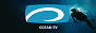 Ocean TV (Москва)